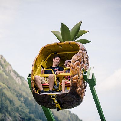 wildlife-and-amusement-park-in-ferleiten-2